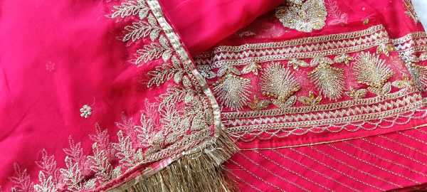 Hot Pink poshak with Odhna Zari Work (Chapat) - Image 2