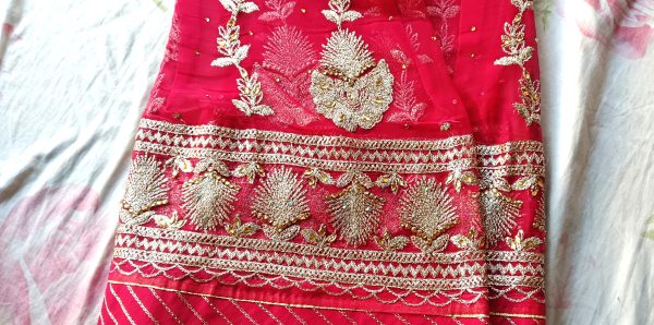 Hot Pink poshak with Odhna Zari Work (Chapat) - Image 4