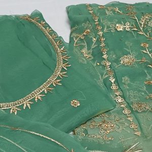 Light Green Poshak with Odhna (Roshnai)