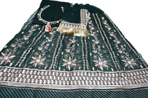 Dark Green poshak with Odhna Zari Work (Chapat) - Image 3