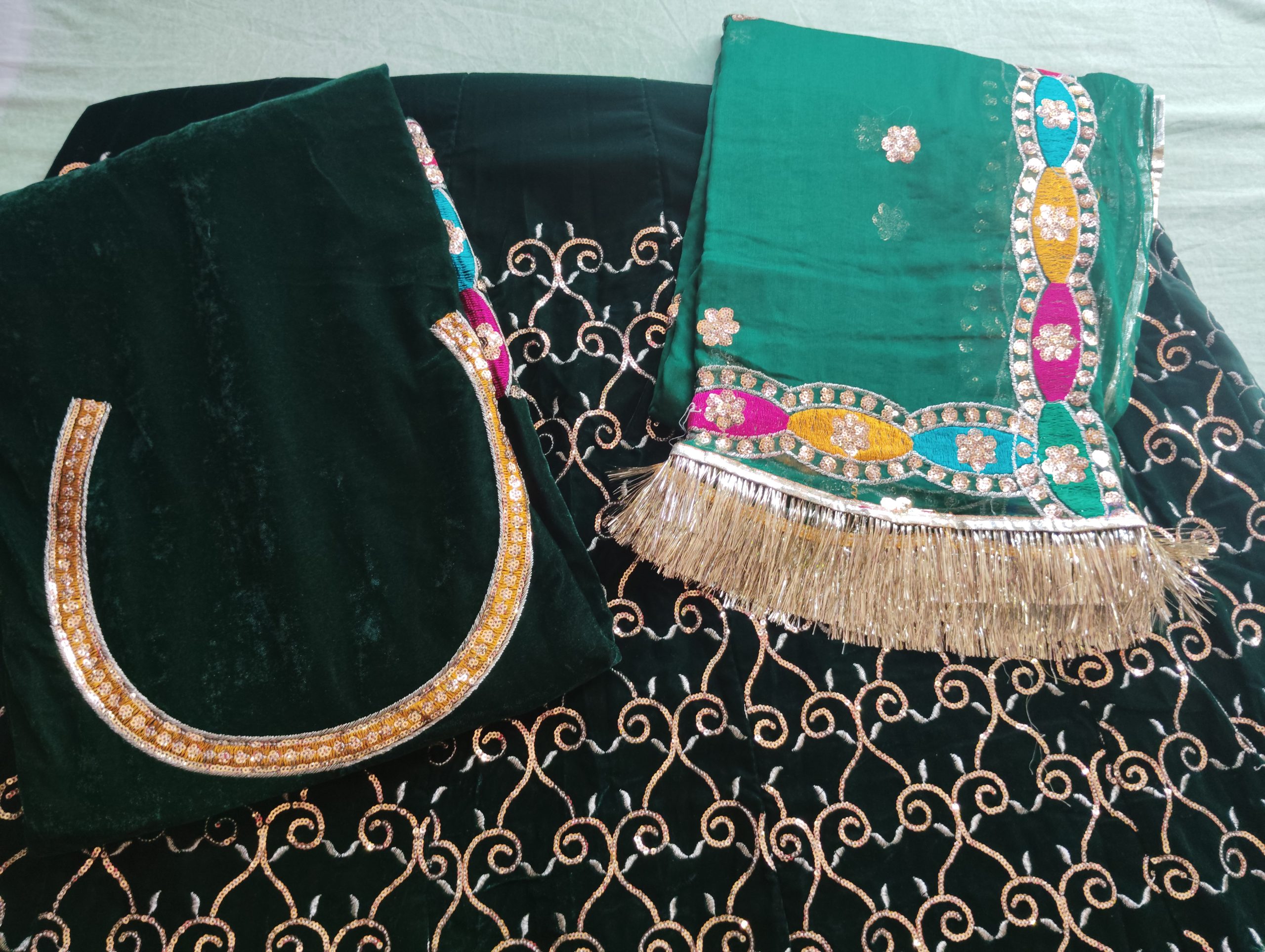 Royal Green velvet poshak with Humrahi Odhna in havey Zari Work. - Image 4